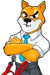 SHIB.X..jpg