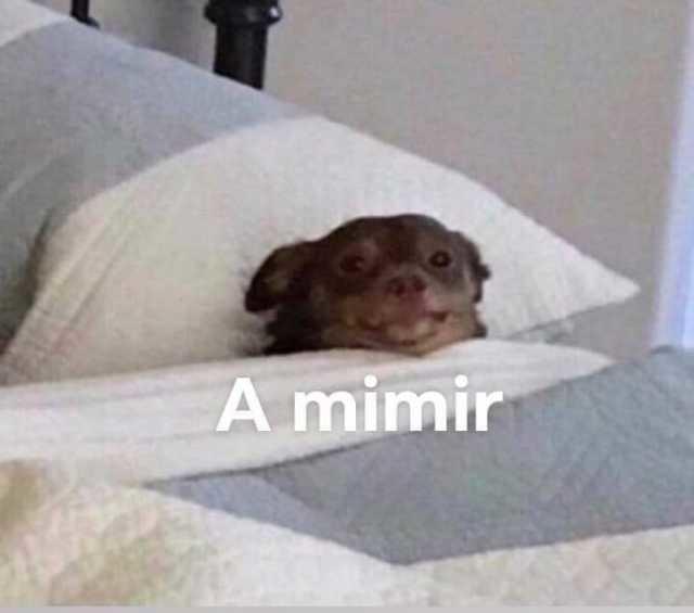 EsrD7msXUAIWlc6.jpg