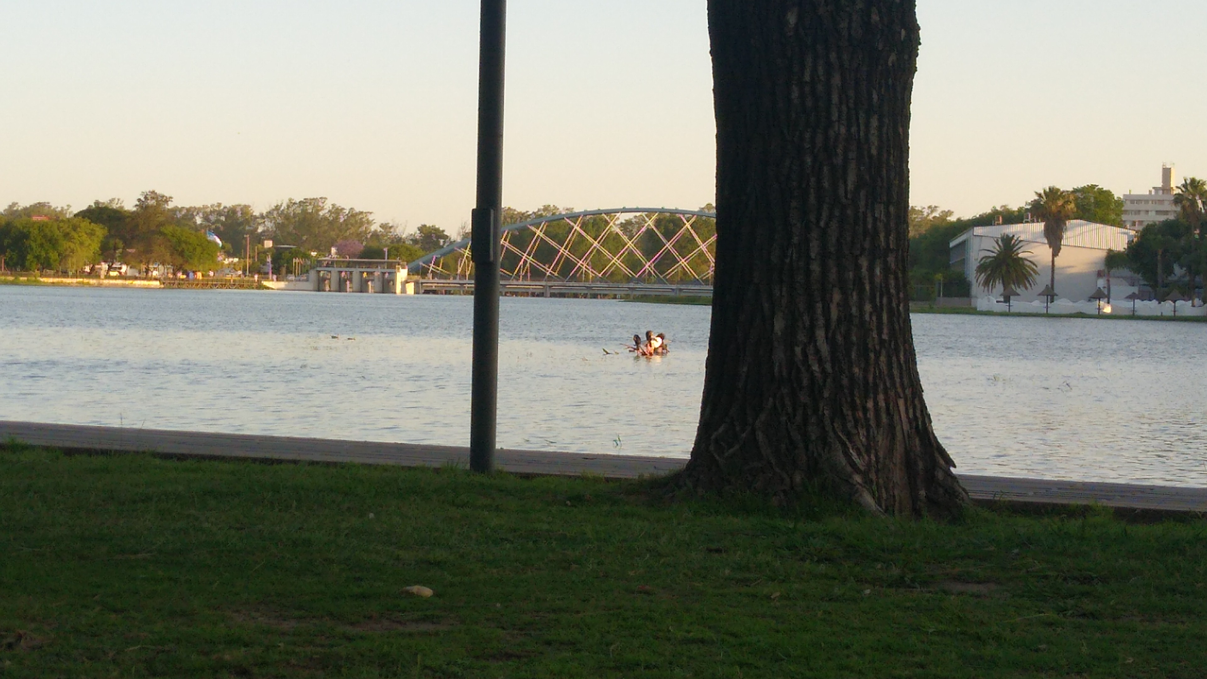 IMG-20211112-WA0051.jpeg