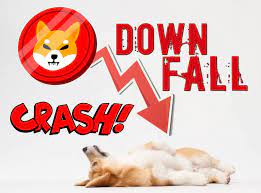 shib.jpg