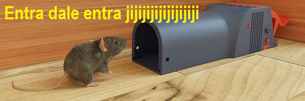 dale entra entra jijijijiji.jpg
