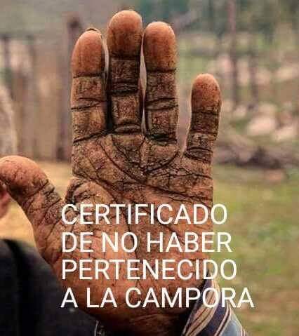 FB_IMG_1648579865705.jpg