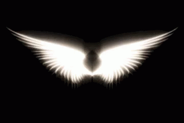 blanco.gif