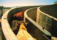slide6-4.jpg
