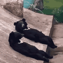 esperando.gif