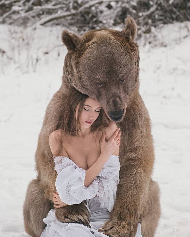 bear6ggal.jpg