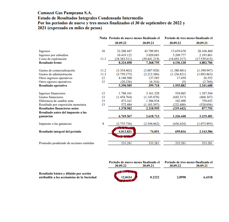 camuzzi gas pampeana.png