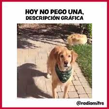 no pegas ni con la gotitaaaa jijijiji.jpg