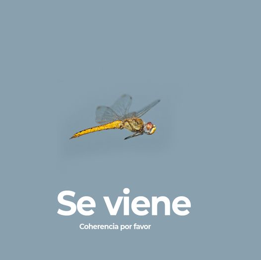 Se viene.jpg