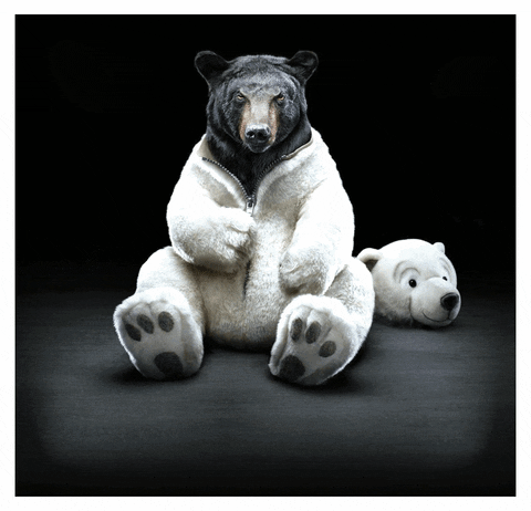 bearbearggal.gif