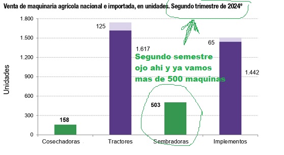 año 2024.jpg