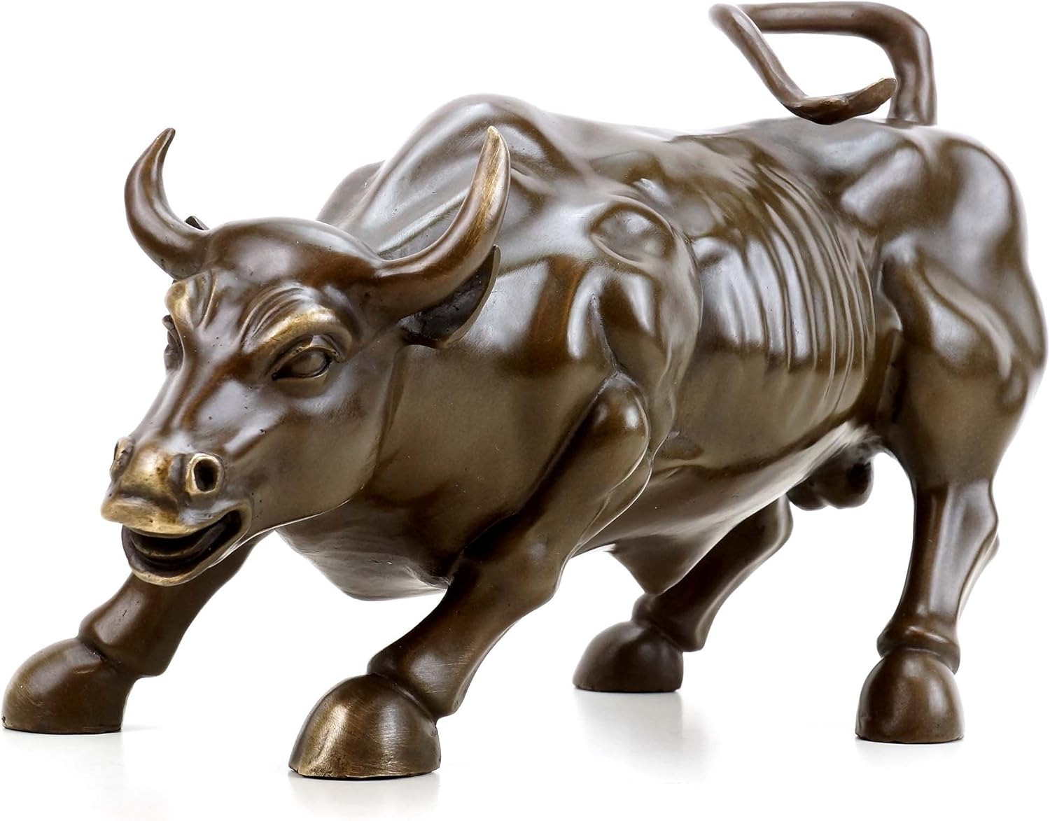 toro.jpg