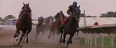 las magnificas siempre ganan por varios cuerpos al resto.gif
