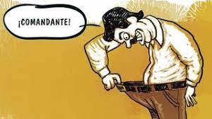 images (15).jpeg