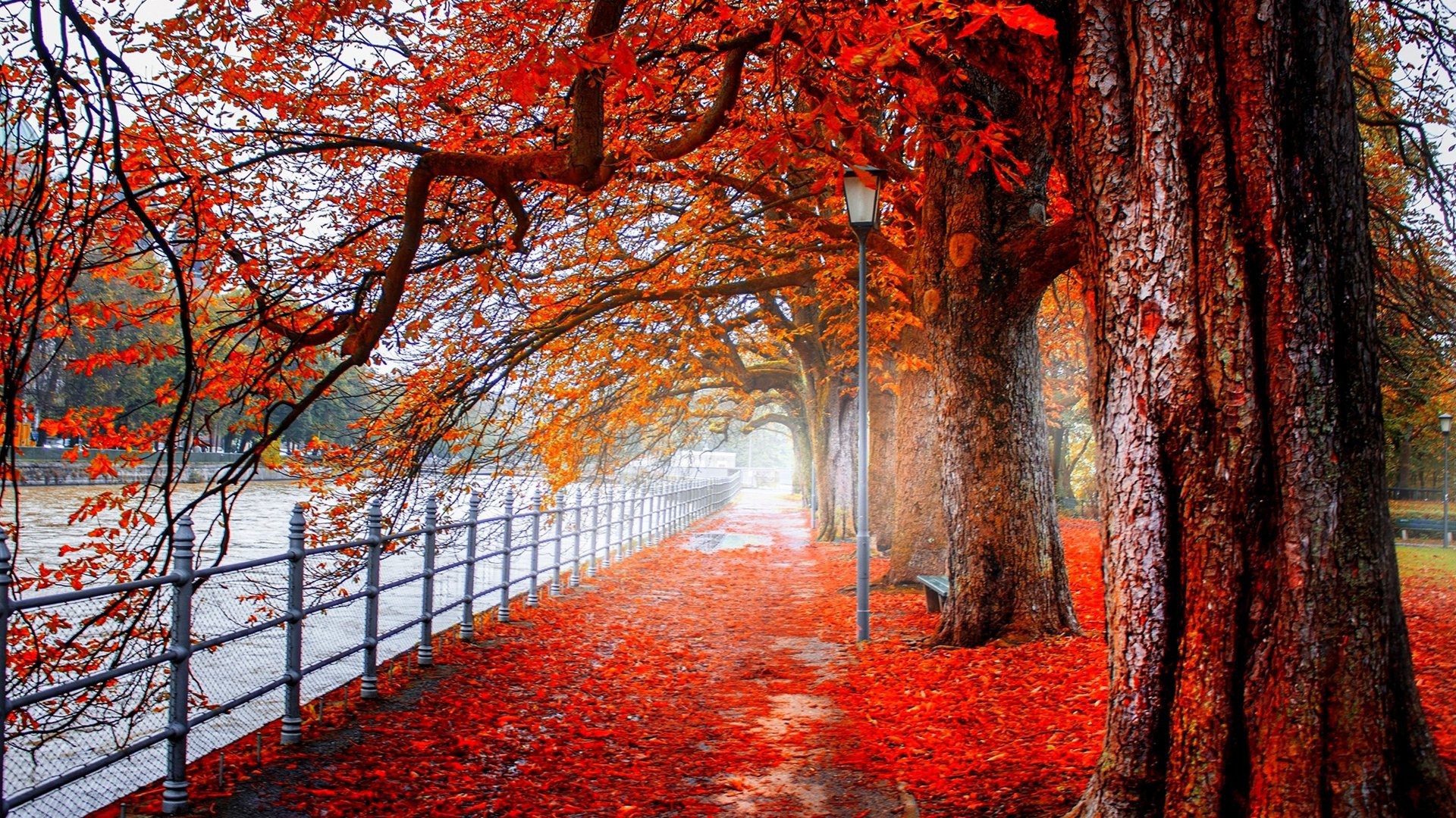 Otoño.jpg
