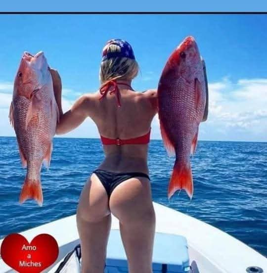 FB_IMG_1742161763223.jpg
