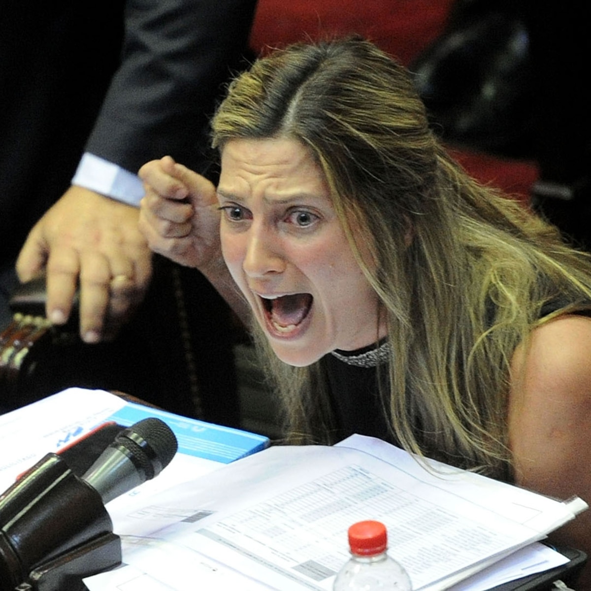 https___s3.amazonaws.com_arc-wordpress-client-uploads_infobae-wp_wp-content_uploads_2016_12_07062223_Lospennato-Silvia-diputados-sesion-ganancias-1920.jpg