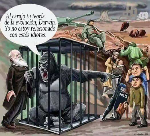 FB_IMG_1749666005369.jpg